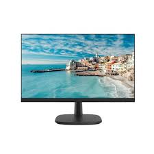 DS-D5019S0-1P0 (18.5 -inch Monitor)